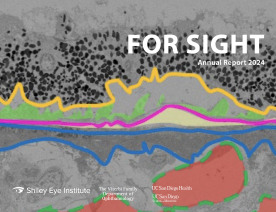 SEI - For Sight